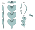 Thumbnail for version as of 17:08, 12 August 2026