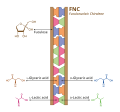 Thumbnail for version as of 11:08, 28 May 2026