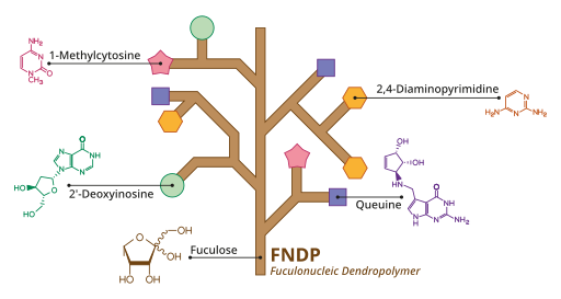 File:Genetics-fndp.svg