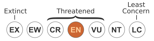 File:Status iucn3.1 EN.svg