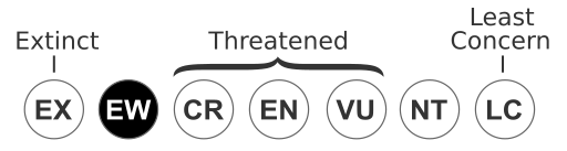 File:Status iucn3.1 EW.svg